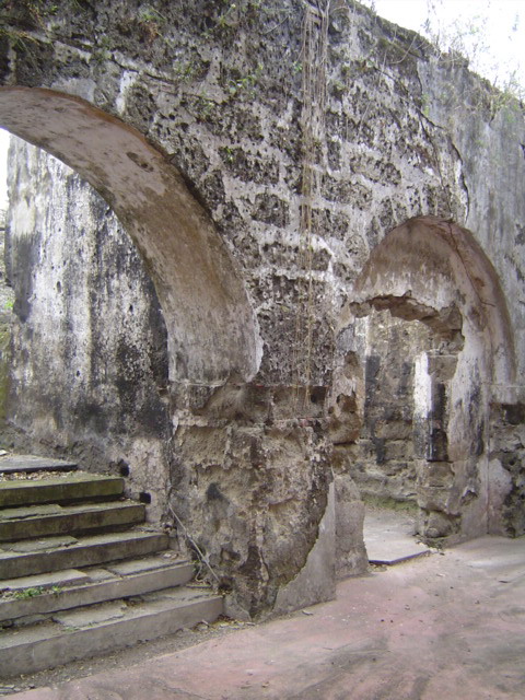 NHCP Photo Collection, 2010