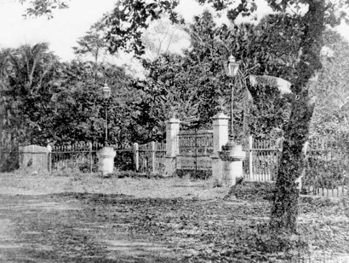 NHCP Photo Collection, 1996