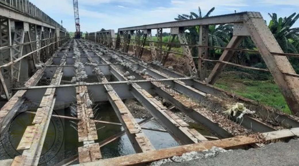 NHCP Photo Collection, 2025